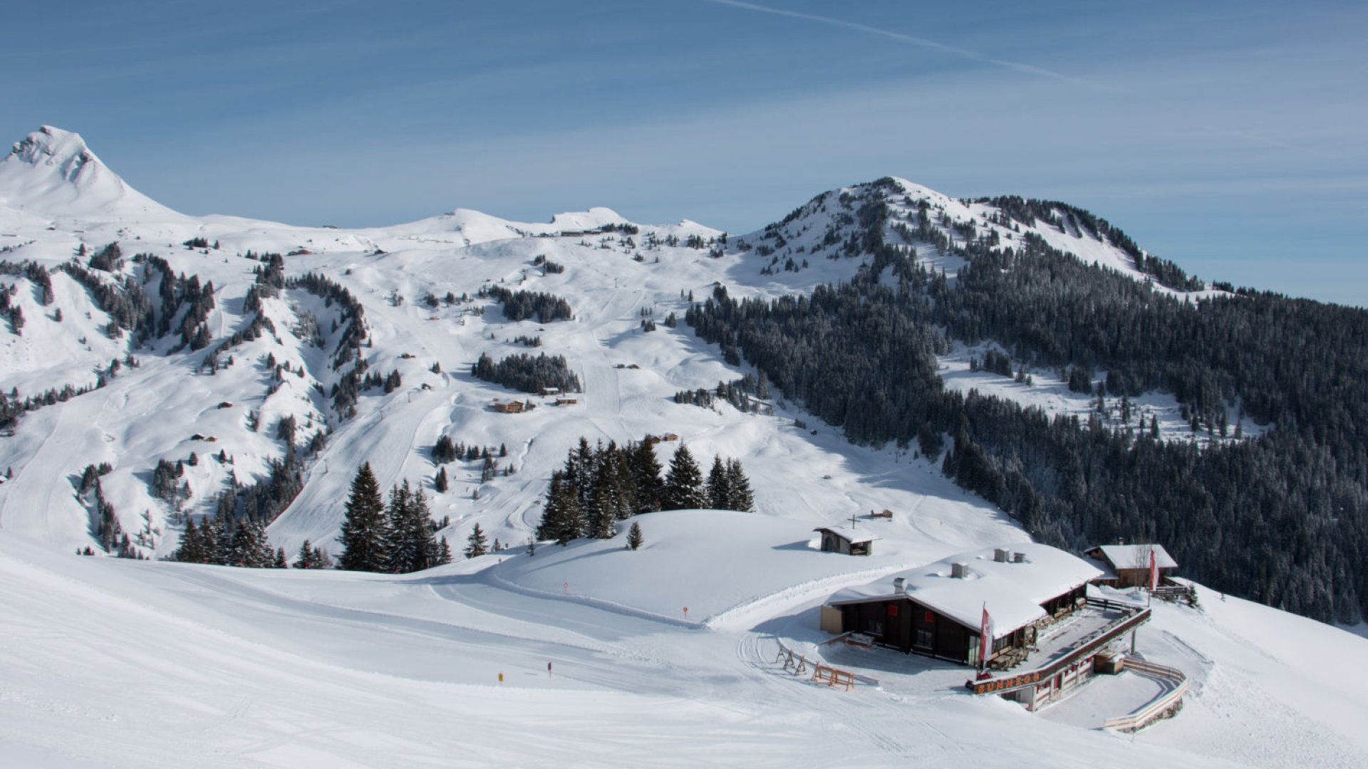 Freitag Frei - ab auf die Piste! Damüls-Mellau