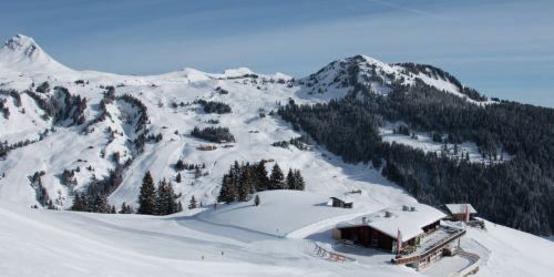Freitag Frei - ab auf die Piste! Damüls-Mellau